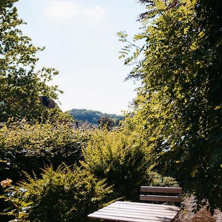 Ferienwohnung Kurpark Brilon Am Rothaarsteig Экстерьер фото